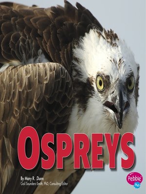 cover image of Ospreys